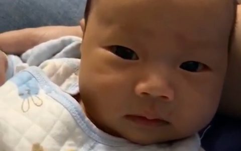 加油，贪吃的夜猫子！