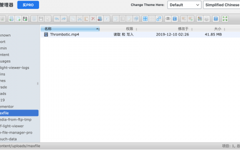 没有最好，只有更好——WordPress文件管理器插件File Manager