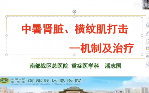 中暑肾脏、横纹肌打击机制及治疗（潘志国）