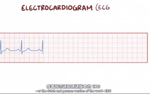 【Osmosis医学】心电图基础 - ECG/EKG