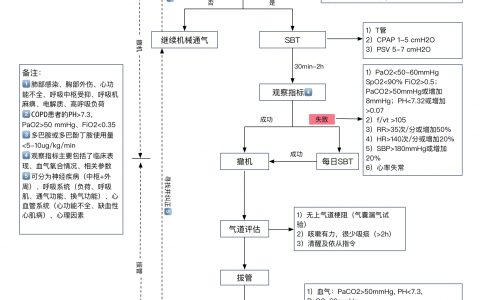 呼吸机脱机拔管流程