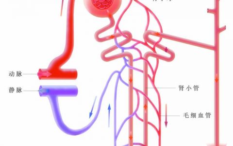 A 65-year-old man is status post three-vessel coronary artery bypass graft