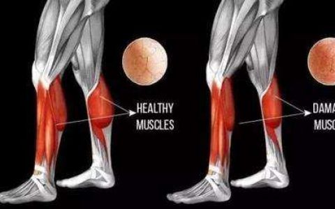 A 35-year-old, otherwise healthy patient with acidosis, hyperkalemia, and hypocalcaemia