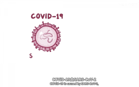 【Osmosis医学】新型冠状病毒肺炎COVID-19