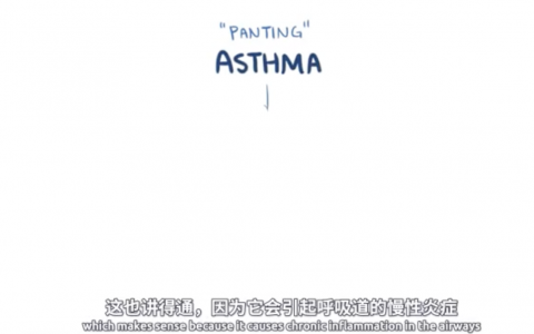 【Osmosis医学】哮喘 – Asthma