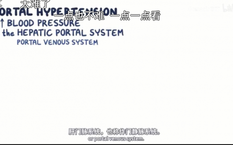 【Osmosis】门静脉高压症 Portal Hypertension
