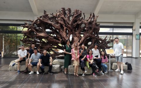 湖州疗养记（8.20-8.22）