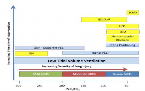听老李讲ECMO第四讲_呼吸机策略