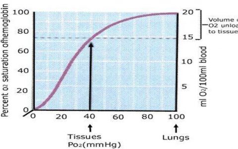氧合解离曲线为什么是S形的？