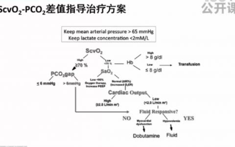 静动脉CO2分压差