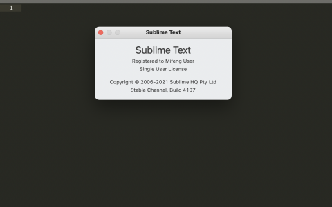 Sublime Text 4.0