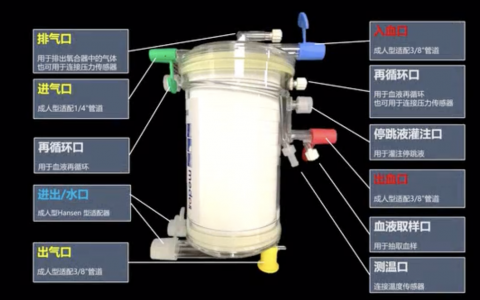 米道斯套包预充