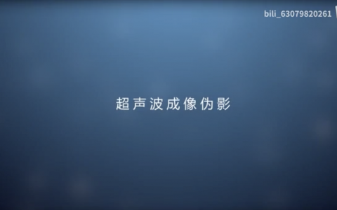 超声波成像中的伪影