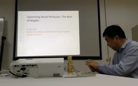 renal perfusion