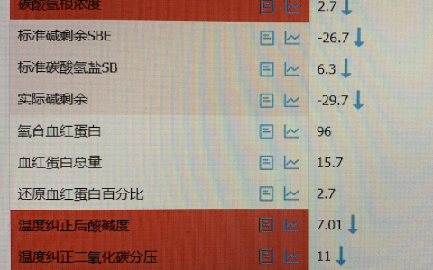 来自一张血气分析的思考