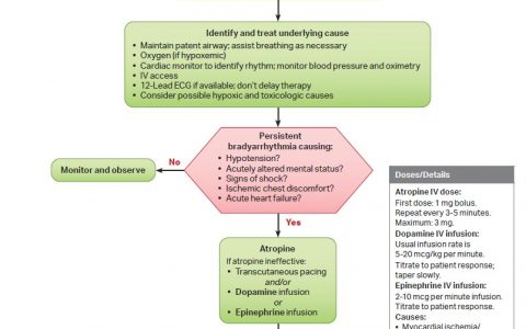 AHA关于心动过缓和心动过速的处理流程