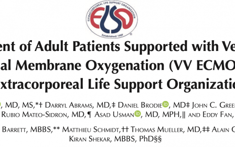 ELSO更新内容2021
