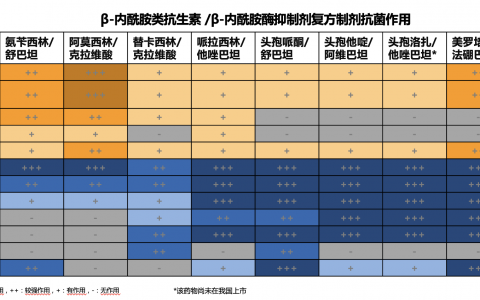 β‐内酰胺类抗生素/β‐内酰胺酶抑制剂复方制剂抗菌作用