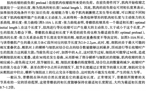 前负荷_协和杜斌