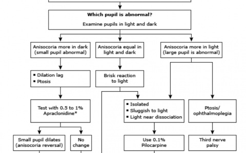 瞳孔大了，无力回天了？