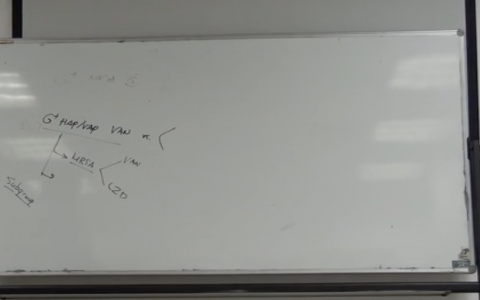 感染_万古霉素/利奈唑胺_协和杜斌