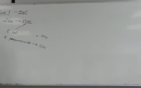 感染_ESBL_协和杜斌