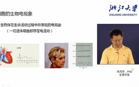 浙江大学生理学_细胞的生物电现象_李月舟