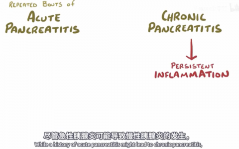 【Osmosis】慢性胰腺炎 Chronic Pancreatitis
