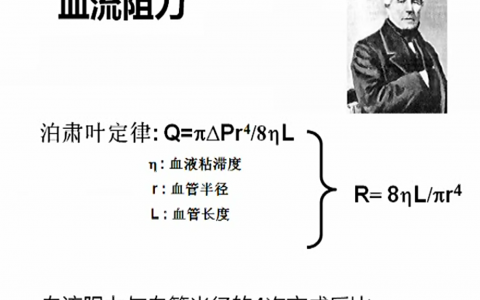 浙江大学生理学_血管生理1_赖蒽茵