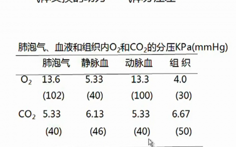 浙江大学生理学_呼吸生理_虞燕琴