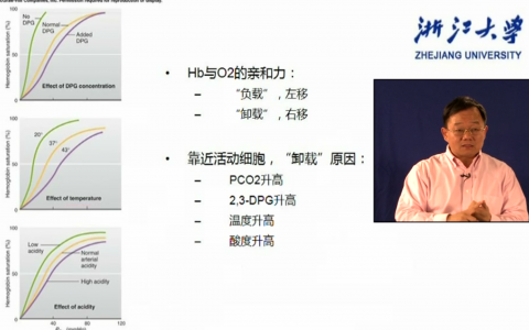 浙江大学生理学_气体在血液中的运输_夏强
