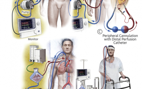每日一题_2022.1.2