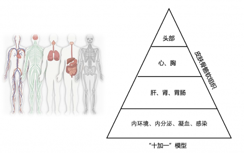 重症知音第2课_重症患者的初始评估