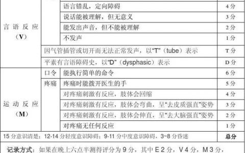 重症知音第10课_GCS评分