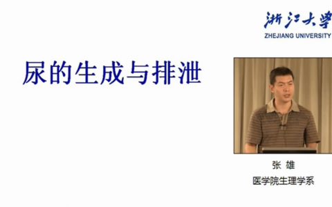 浙江大学生理学_尿的生成和排泄_张雄