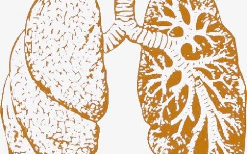 每日一题_2022.1.26