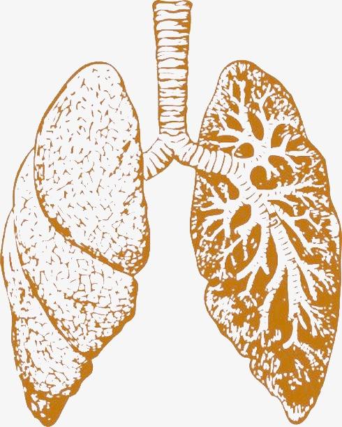 每日一题_2022.1.26
