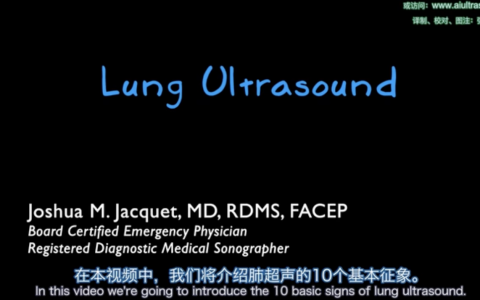肺超声十大基本征象