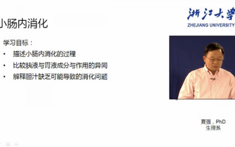 浙江大学生理学_小肠内消化_夏强