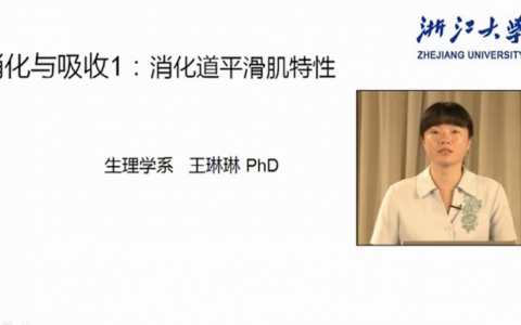 浙江大学生理学_消化和吸收_王琳琳