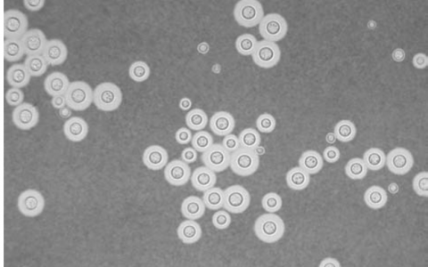 每日一题_2022.1.17