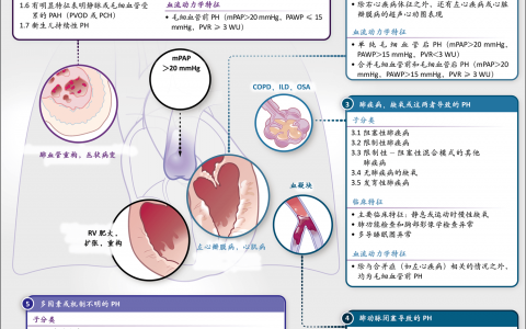 肺动脉高压