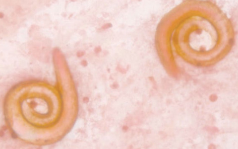 每日一题_2022.2.6