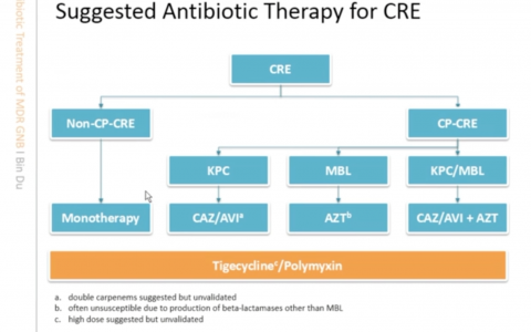临床医生为何需要了解细菌耐药的分子流行病学