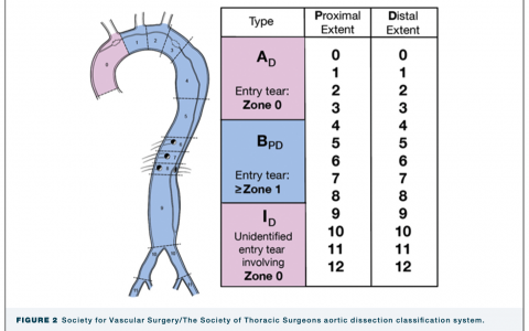 每日一题_2022.2.13