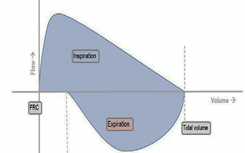 每日一题_2022.2.19