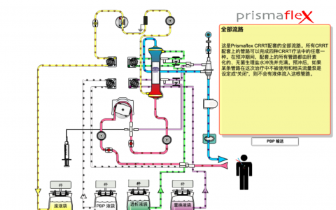 PrismaFlex的教学动画软件