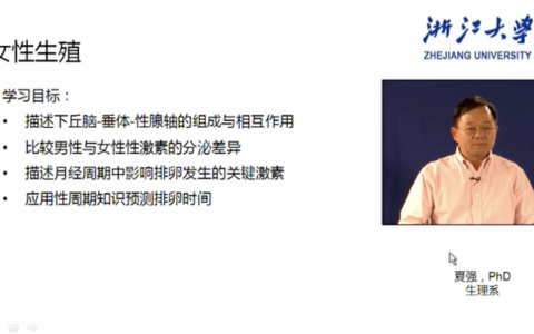 浙江大学生理学_女性生殖_夏强