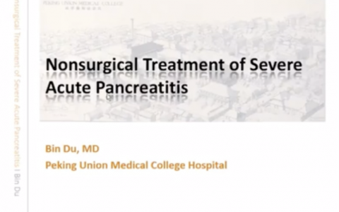 重症胰腺炎的非手术治疗