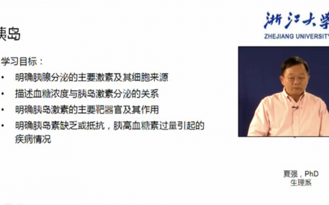 浙江大学生理学_胰岛_夏强